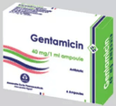 Gentamicin 40mg/ml i.v./i.m. 100 amps